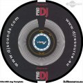 Pioneer-Slipmat-2