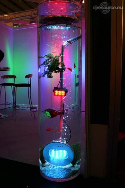 Our MEMBERS can Enlarge : Fish and Electra - Good Combi