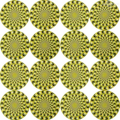 Our MEMBERS can Enlarge : Everything rotates