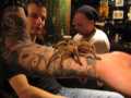 Tarantula-alive-and-walking