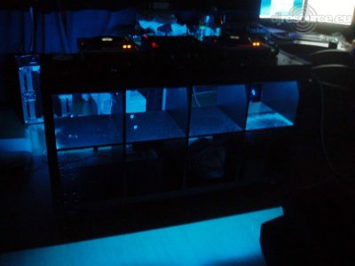 Show this booth : 