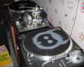 View-of-the-vinyl-part