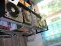 Wildur-s-home-booth
