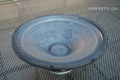 Our MEMBERS can Enlarge : woofer