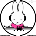 DJ-Nijntje