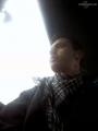 vini