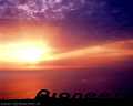 Sunsetting-Pioneer