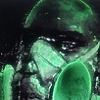 PERCY Avatar