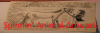 Animal-artwork