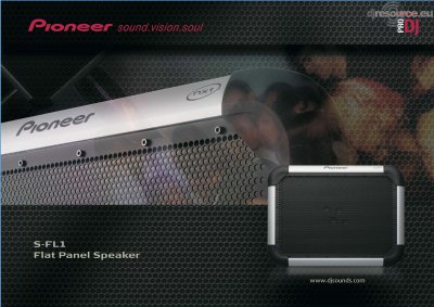 Our MEMBERS can Enlarge : Pioneer DJ S-FL1 Speaker (passive)