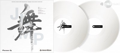 Our MEMBERS can Enlarge : Pioneer DJ RB-VD2 DVS