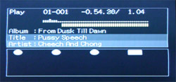 MP3 preview screen while reading Waveform