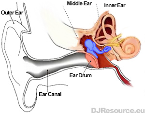 The Human Ear